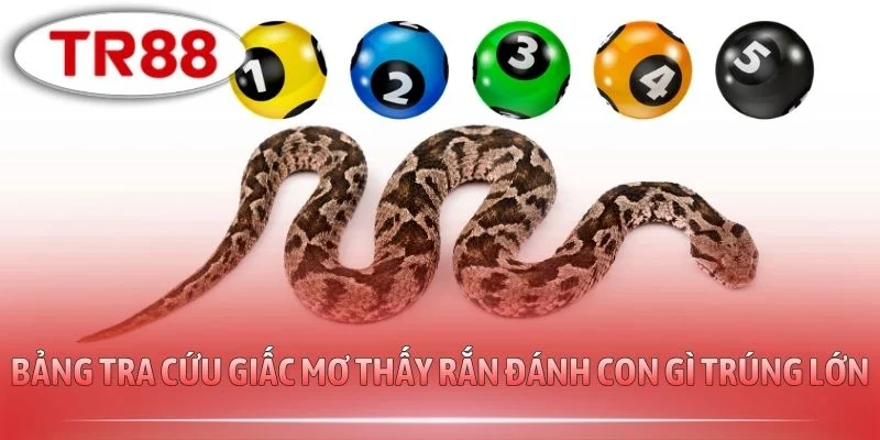 Bảng tra cứu giấc mơ thấy rắn đánh con gì trúng lớn