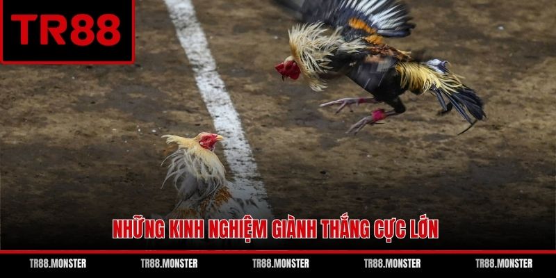 Những kinh nghiệm giành thắng cực lớn